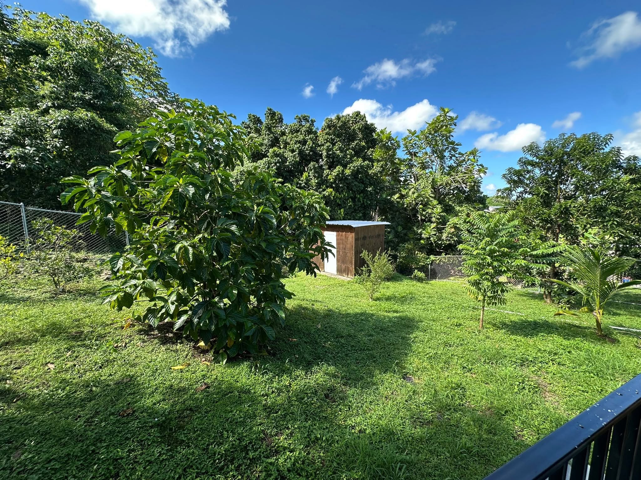 PROPIEDAD EN ALQUILER | SAN SEBASTIÁN, PUERTO RICO
